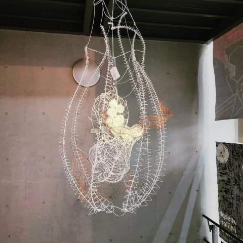 張廷碩 - 線立體仿生裝置藝術