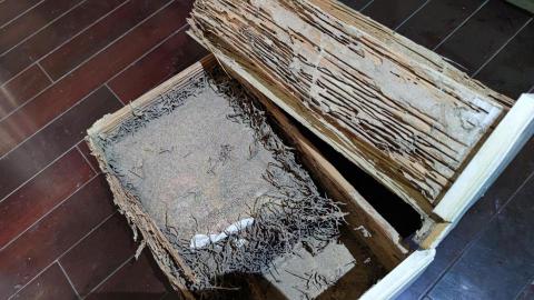 心力企業有限公司 - 