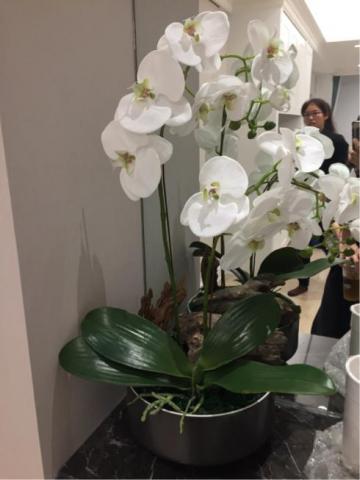 凡格國際藝術有限公司 - 