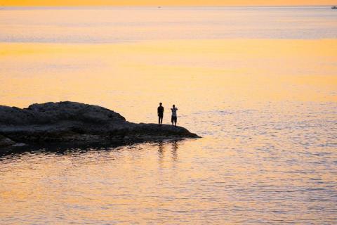 冬樹君 - 兩人的岸