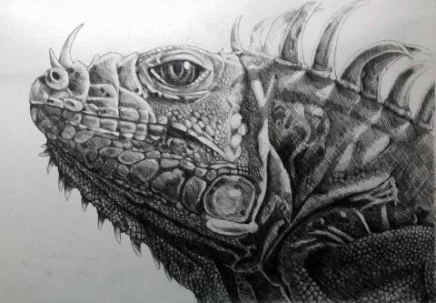 賴譓霓 - 寫實仿生素描