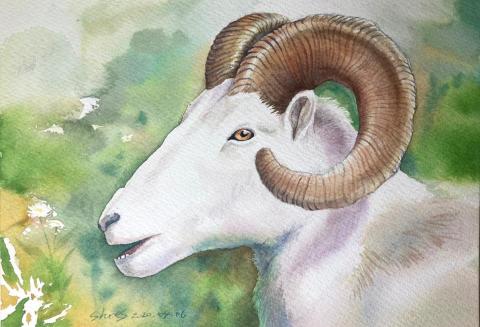 大橋小西 Art Studio - Customization｜Artwork