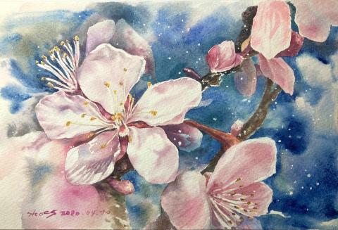 大橋小西 Art Studio - Customization｜Artwork