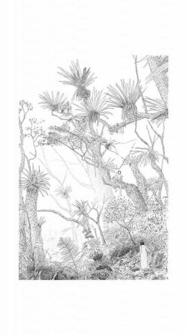 Studio.AAD - 封面繪圖