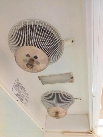 許湘宜 - 整理後