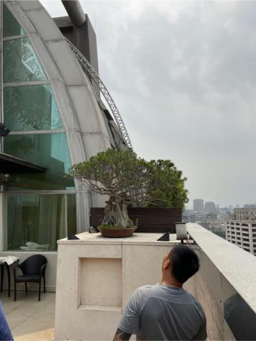 宏沁工程 - 矽利康填補