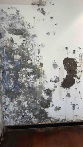 宏沁工程 - 底壓灌注（環氧樹脂）