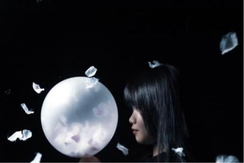 多莉攝影 - 商業攝影 