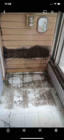 點點蟲病媒醫生 - 