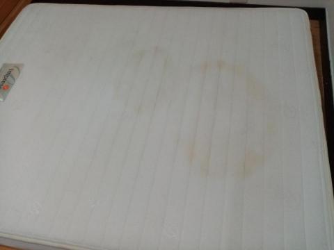 伍蓓盈Tina - 除塵蟎加洗床墊前 伍蓓盈Tina - 除塵蟎加洗床墊前