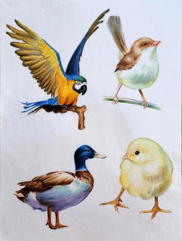 個人額外收入經營(插畫) - 麥克筆素描