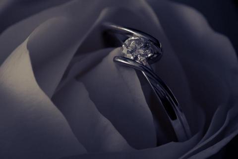 W studio -  W studio -