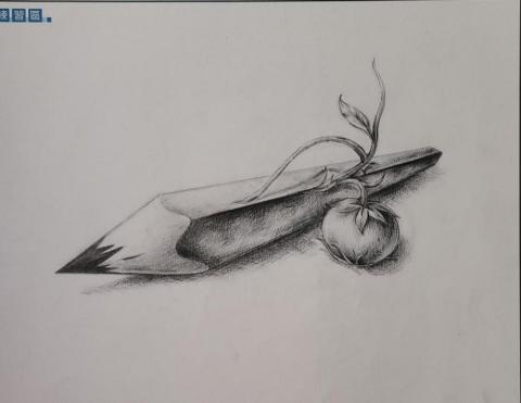 個人額外收入經營(插畫) - 鉛筆素描