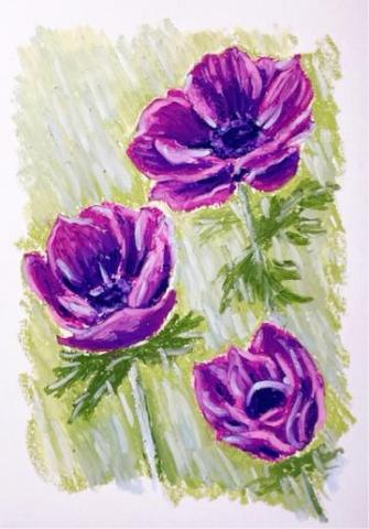 T.zhi 畫筆敘事 - 