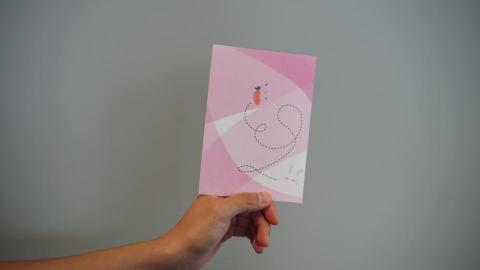 小幫手 - 明信片-兔子捉迷藏