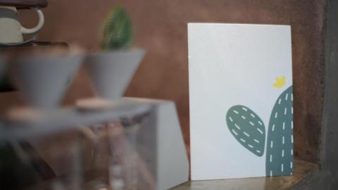 小幫手 - 明信片實體照-仙人掌