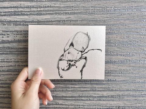 小幫手 - 明信片-甲蟲素描款