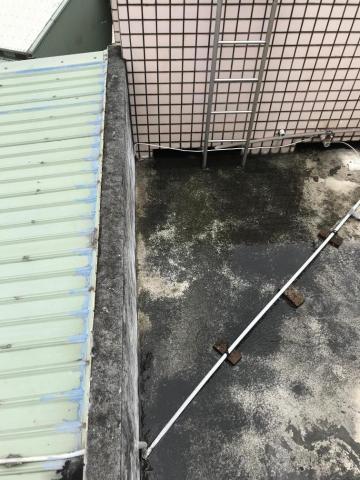 GOBOSS室內裝修工程 - 屋頂漏水。防水PU層處理