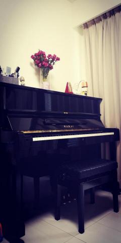 萌恩家教工作坊 - 從小開啟孩子們對聲音的敏感度，學音樂的寶寶對於英語的自然發音更易上手，也更能理解英文語調的用法唷！學英文還能一起玩音樂，老師證書兩項科目的證書都有喔！