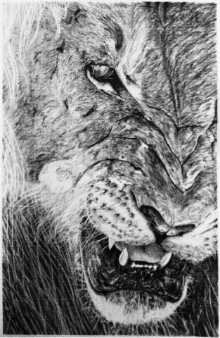 靈感游游 - 素描5