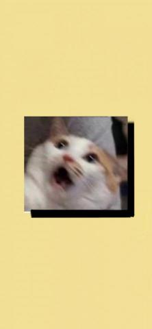 提供斷食三天服務的專家璇空