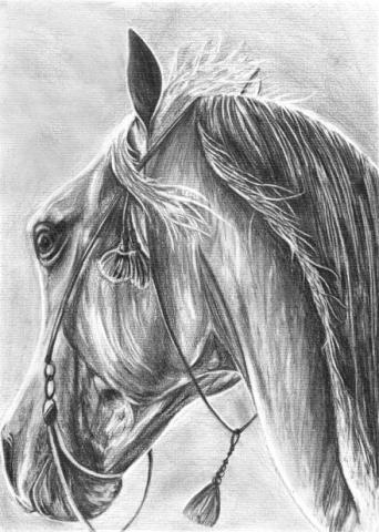 靈感游游 - 素描2