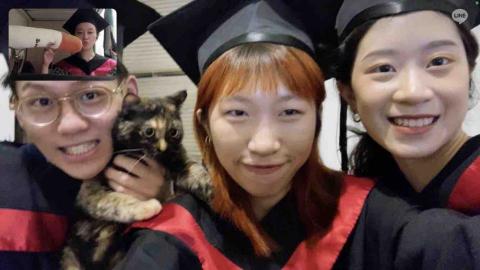 提供2024世足服務的專家谷芳逸