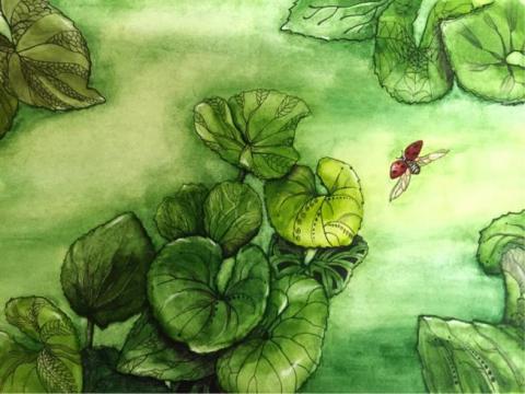 靈感游游 - 水彩2