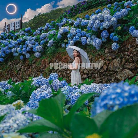 游柏群 - 人像04