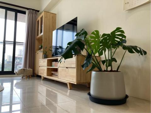 Rita - 客廳現場照片