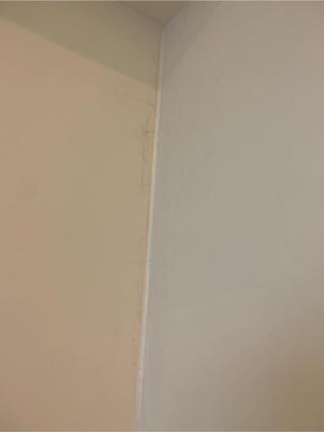 室內外油漆防水工程 -  矽利康重新打上 室內外油漆防水工程 -  矽利康重新打上