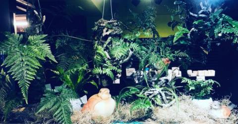 植&泥 綠空間設計 - 櫥窗綠空間