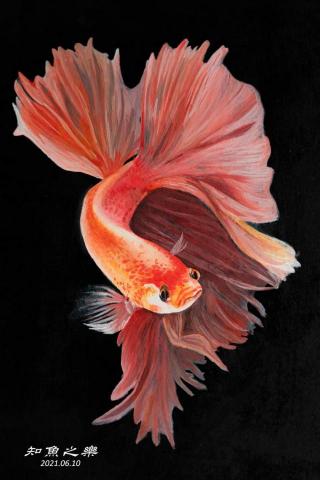 牛浩芸 - 膠彩、廣告顏料