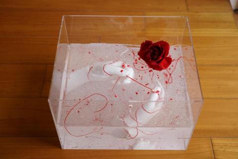 牛浩芸 - 立體作品，石膏，果凍膠(25*30*20)