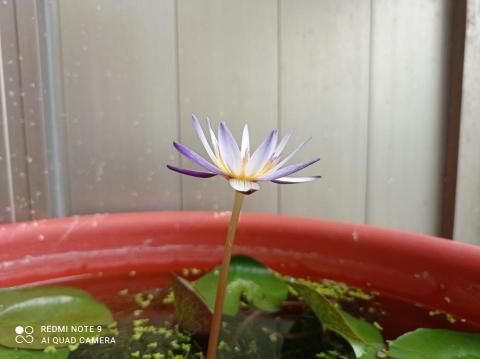 提供外送兼職服務的專家kailin