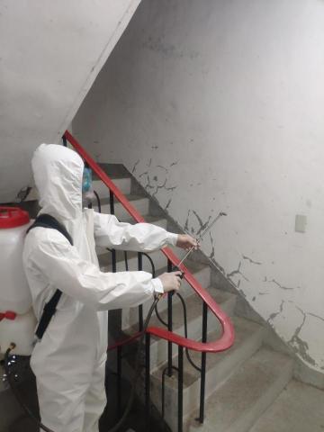 點點蟲病媒醫生 - 微生物消毒/新冠病毒消毒
