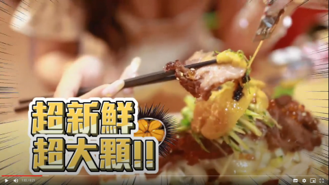 Vis影像工作室 - 