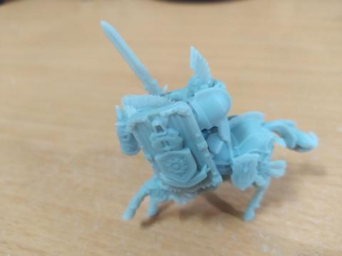 曾宇賢 - 帥氣戰棋模型