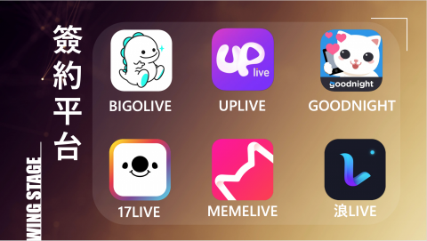 羽翼實業股份有限公司 - 