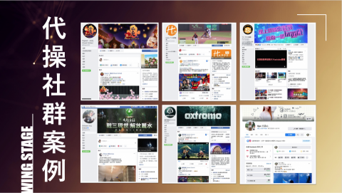 羽翼實業股份有限公司 - 