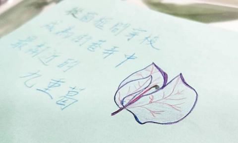 Olivia 斑馬老師 - 巷弄間的九重葛---隨手寫生紀錄(色鉛筆) Olivia 斑馬老師 - 巷弄間的九重葛---隨手寫生紀錄(色鉛筆)