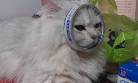 提供Android App修改服務的專家Louis