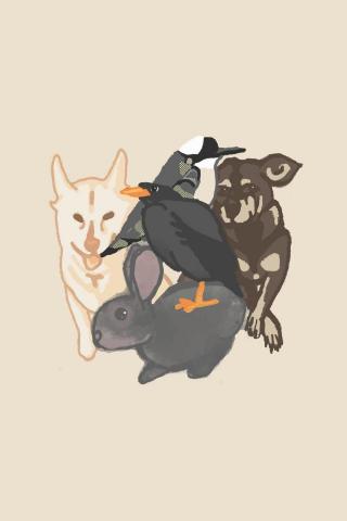 徐小琪 -  徐小琪 -