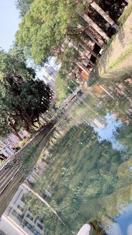 郭子郁 - 手機拍攝