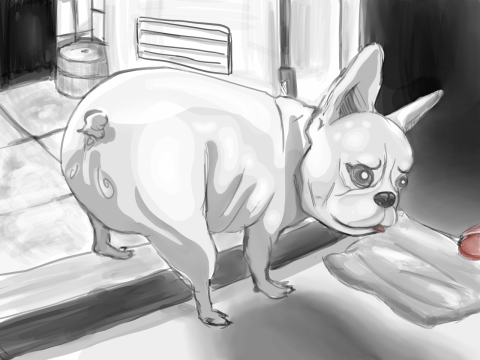 BANAKOLA - 黑白-狗