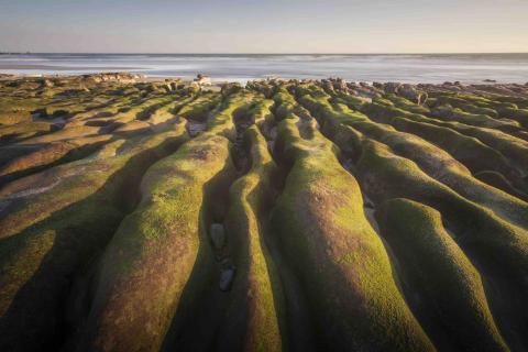 李昀達 攝影教學 - 
