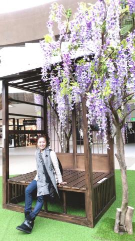 提供托福服務的專家