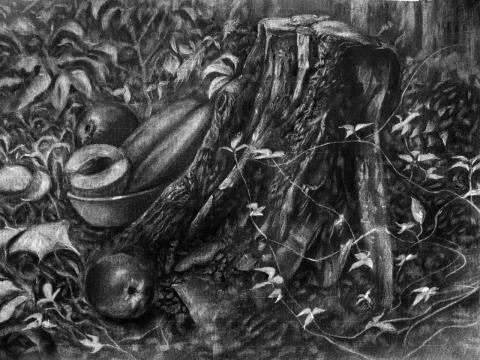 薛存妤 - 炭精筆素描