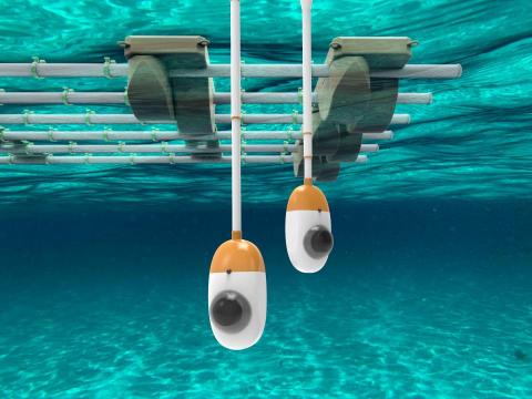 Amanda - 水中複眼偵測儀