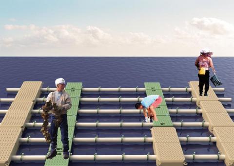 Amanda - 蚵棚設計